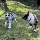 불리빌로우코리아센터 이미지