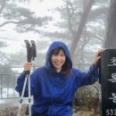 함백산 민박 이미지