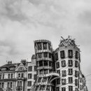 아름다움 하우스 이미지