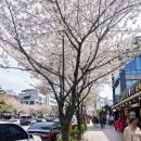 노원 수락산 보쌈맛집 임금님보쌈 등산 후 식사 추천