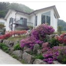 산수벨리펜션 이미지