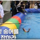 회산백련지 수상유리온실 | 무안 숭어 축제 겨울 당일치기 1박 2일 여행 코스 가볼만한 곳