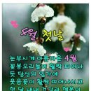 맛나지 이미지