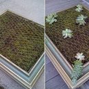 정원이 아름다운 집 이미지