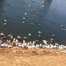 우정지하도 화장실 이미지