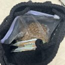 개나리 애견유치원 | [삼송 애견유치원] 등,하원 픽업 이 가능한 개나리 애견유치원