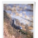 산내원