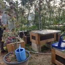 김정도 농장 이미지