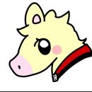 천마태권도 이미지