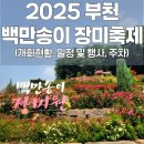 오정어린이공원 | 2025 부천 백만송이 장미축제 후기(개화현황, 일정 및 행사, 주차)
