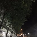 빅보스당구장 | [지누룩의 일상] 오랜만에 보낸 가족들과의 시간