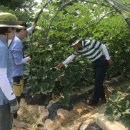 함평센터-13 이미지