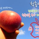 알파이용원