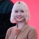 BDM 이미지