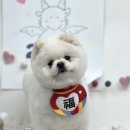 가위솔미용실