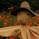 허수아비 이미지