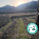 대명중기 이미지