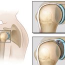인하정형외과의원 이미지
