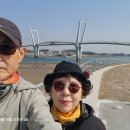 태안군. 안면도 2 ( 마검포 네이처월드-백사장 항-방포 해수욕장)1. 이미지