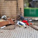 남성세탁소 이미지