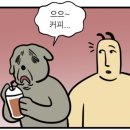 메가MGC커피군산