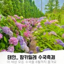 동화조경농원 | 팜카밀레 허브농원│태안수국축제 한적했던 주말방문 후기