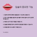 마노성형외과의원 이미지