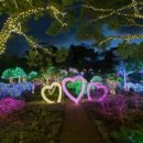 보타니카 170 이미지