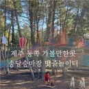 승마장 야외화장실1 | 제주 송당승마장 밧줄놀이터 내돈내산 솔직 후기 제주도 동쪽 아이랑 야외 가볼만한곳