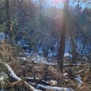 이장천약수터 이미지