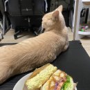 GS25대도대로 이미지