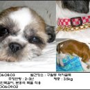 국희 이미지