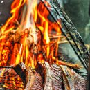 지글지글 이미지