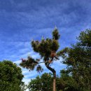 인천아시아드경기장 이미지