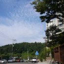 평지해장국 네이버블로그