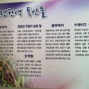 신전권역 이미지