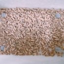 삼차농장 이미지