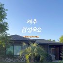 제주스테이대흘 이미지
