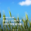 소만 절기의 의미와 뜻, 제철 음식 정리 이미지