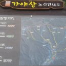 덕산면009 Daum카페