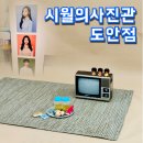 시월의오후 | 대전 시월의사진관 도안점 프로필 촬영 후기 ✨ 퀄리티+서비스 모두 만족!