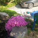 경북기름집 이미지