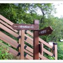 중산동 고분군 | [스크랩] ＜울산어울길 3~4구간 28km 도보＞길동무프로그램 후기