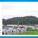 일산4리 이미지