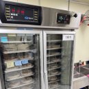 북방상회 | 백경 화이트 약주 (백경증류소) | 테이스팅 노트 [전통주 관찰기 #24]