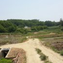 건국제일농장 이미지