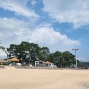 관성솔밭해변 이미지