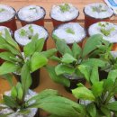 정신력 싸움^ ^ 이미지