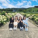 신지천 전북도민일보
