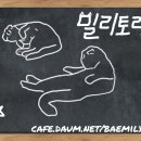 [놀라운토요일] 내향형 연예인이 예능에 나갔을 때.jpg 이미지